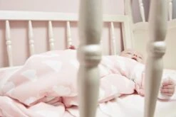 Meyco Clouds/Dots/Feathers Starterset - 9-pack - Hydrofiel - Pink -Babyproducten Korting Winkel 1200x800 7