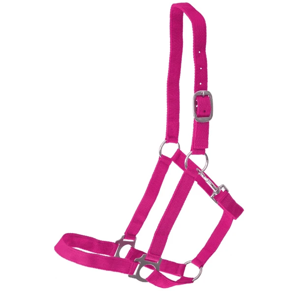 Helga Kreft Tuinpaardenset Tamme, Roze 7 Helga Kreft Tuinpaardenset Tamme, Roze - Afbeelding 5